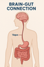 The Brain–Gut Connection: Why Your Protein Powder Choice Matters
