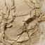 2-in-1 Plant-Based Probiotic Protein Powder